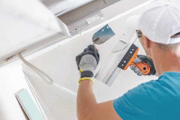 Best Airborne Mold Testing  in Fort Dix, NJ